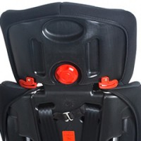 Автокресло Martin noir BAB001 PIONEER Green wood